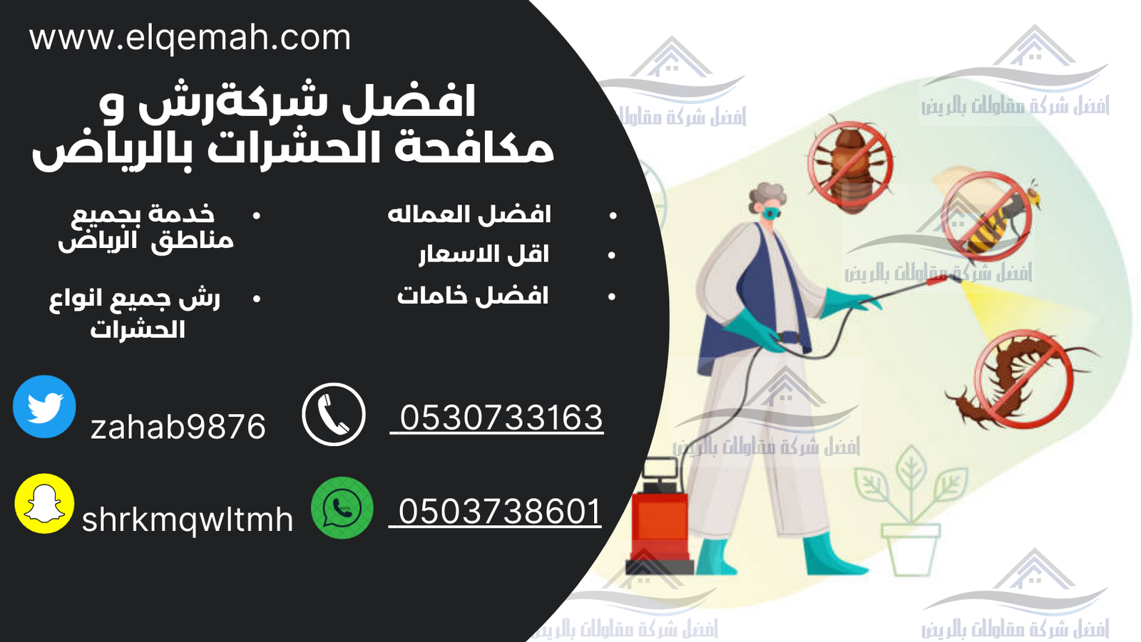 افضل شركة رش مبيدات